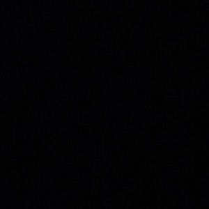 Meet your Posher, Rose